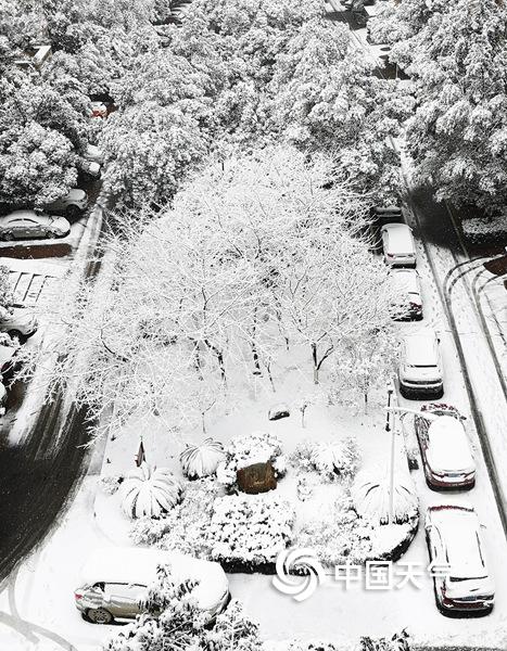 湖南宁乡迎2019年第一场雪 整座城市银装素裹