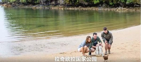 新西兰斯图尔特岛旅游攻略，斯图尔特岛极光时间