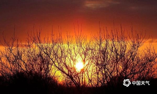 哈尔滨太阳岛金色晚霞美如画卷