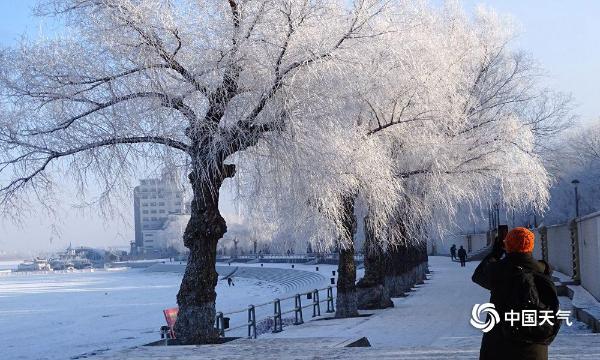 哈尔滨松花江畔新年首迎雾凇景观