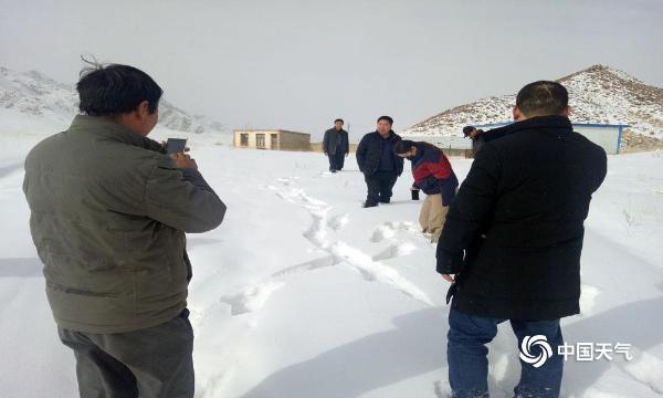 青海海西东部持续降雪  积雪厚度超过膝盖