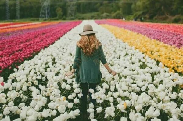 荷兰必去景点，荷兰景点好玩的地方