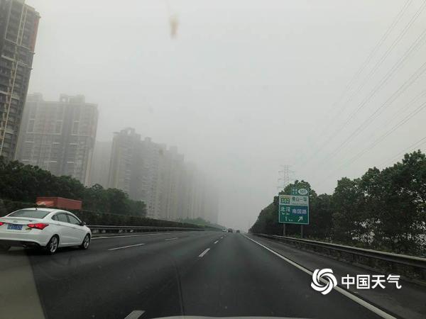 广东佛山大雾弥漫 天空呈磨砂质感