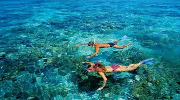 苏梅岛潜水攻略，带你轻松玩转苏梅岛