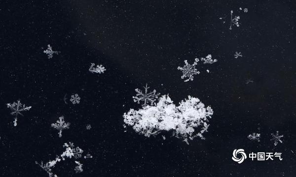 津城冬雪纷纷下 风吹粒粒美胜花