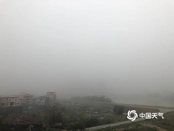 广东佛山大雾弥漫 天空呈磨砂质感