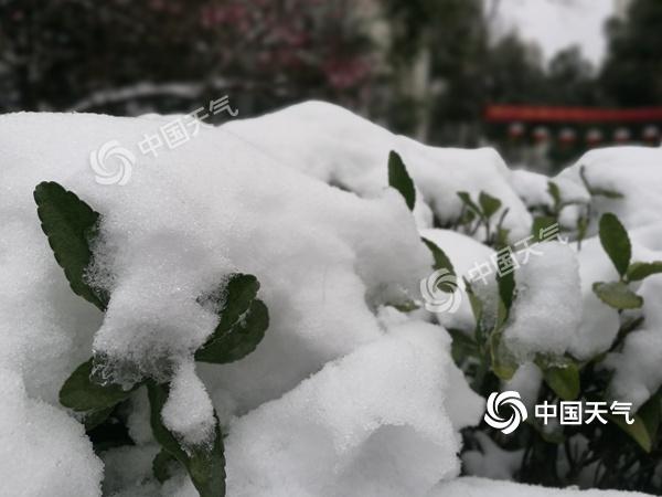 雨雪致安徽多条高速受阻 未来一周气温低迷仍多降水