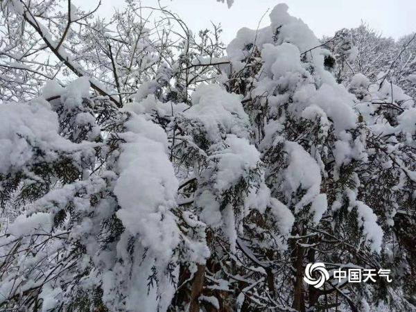 甘肃陇南积雪致部分乡镇电力中断