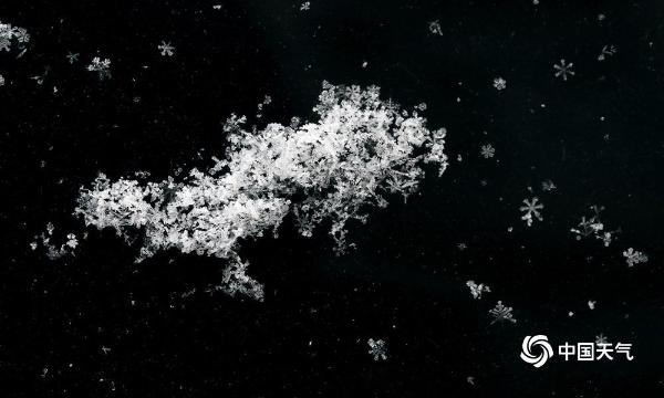 津城冬雪纷纷下 风吹粒粒美胜花