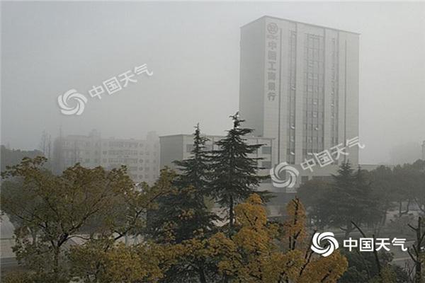 今晨湖北多地大雾现身 夜间雨水再度来袭