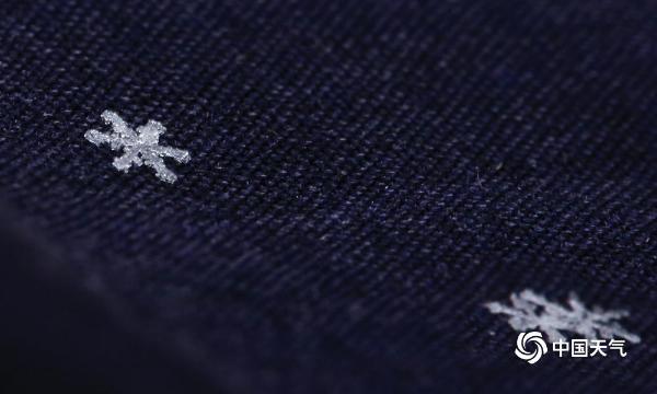津城冬雪纷纷下 风吹粒粒美胜花