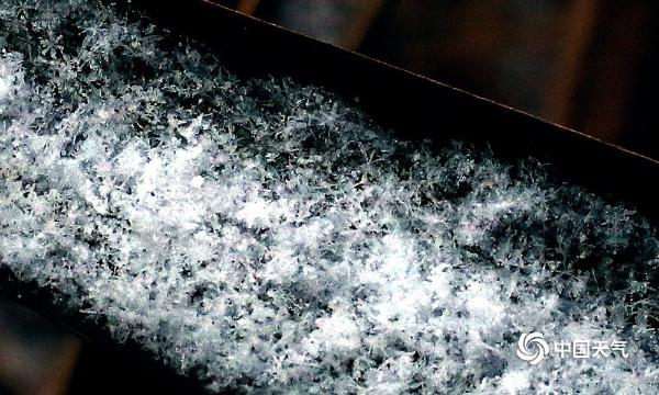 津城冬雪纷纷下 风吹粒粒美胜花