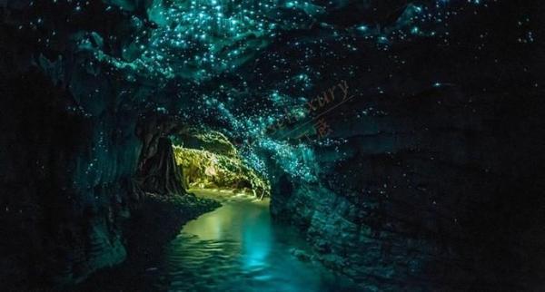 奥克兰有哪些旅游景点，奥克兰最值得去的旅游景点