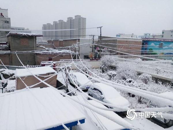 甘肃陇南积雪致部分乡镇电力中断