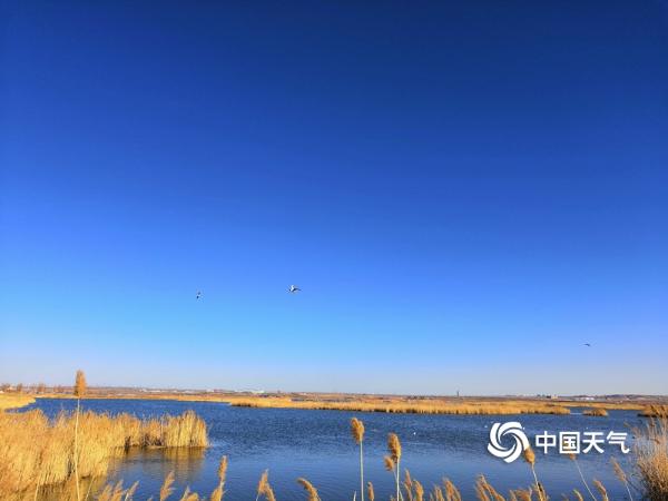 蓝天碧水 鄂尔多斯东红海子湿地景色迷人