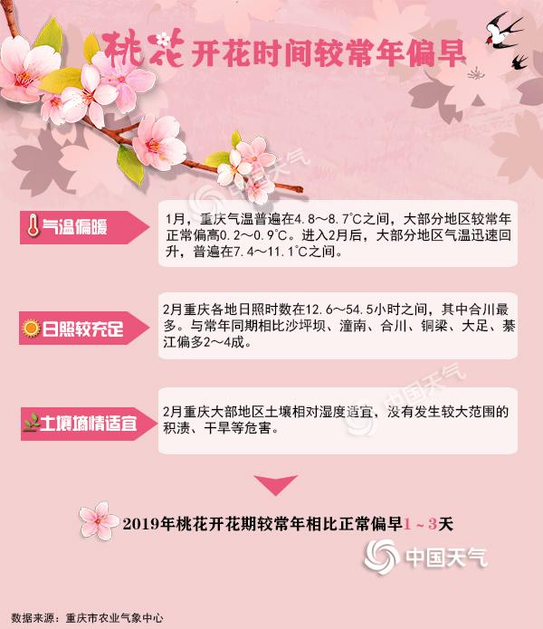 重庆首个桃花花期预报来了 2019约你共赏！