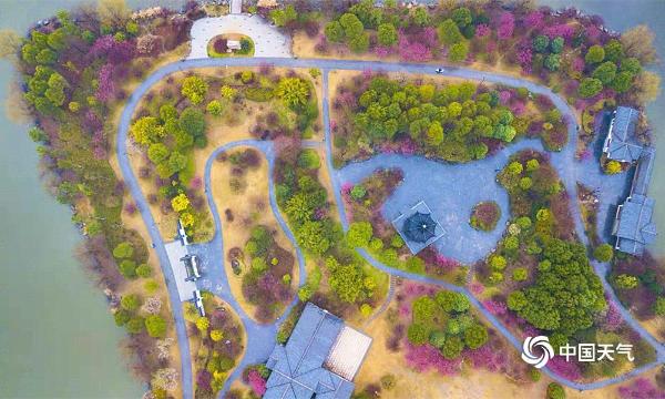 航拍湖北黄冈遗爱湖红梅