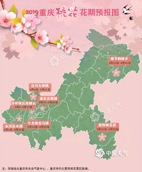 重庆首个桃花花期预报来了 2019约你共赏!