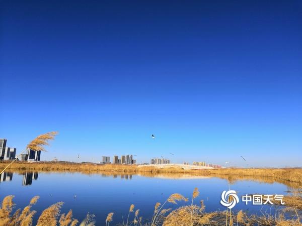 蓝天碧水 鄂尔多斯东红海子湿地景色迷人