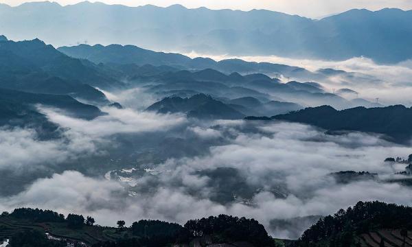 云雾深处有人家 重庆南川平流雾美景似仙境
