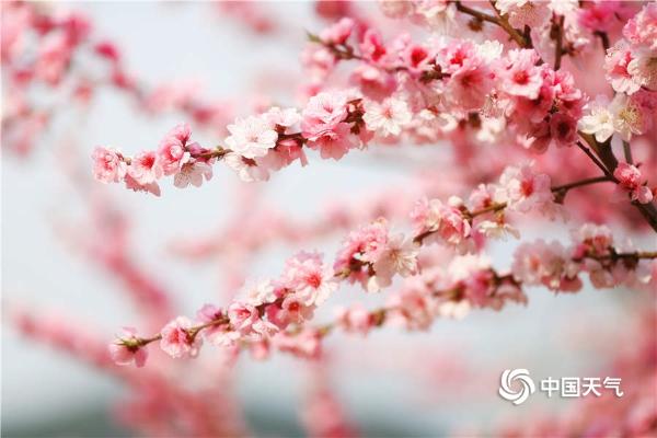 阳光和煦 北京植物园万花争春