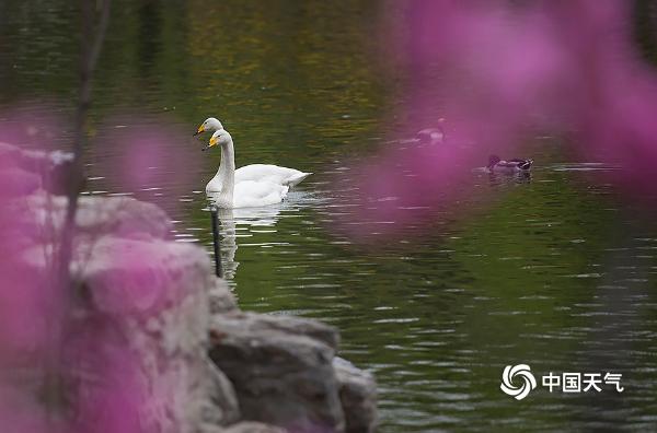 春江水暖简谱_春江水暖(2)