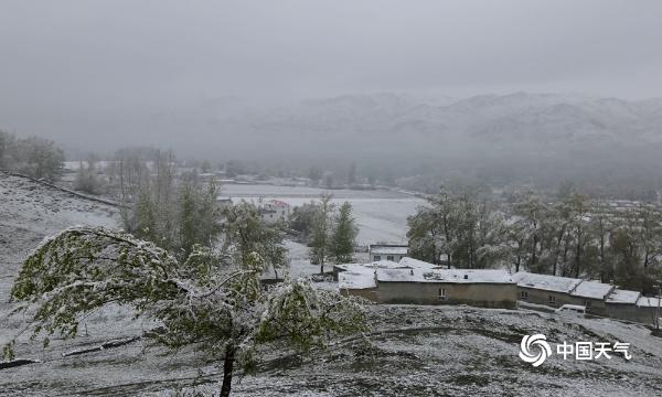 你已经穿短袖了 新疆阿勒泰却在五月飞雪