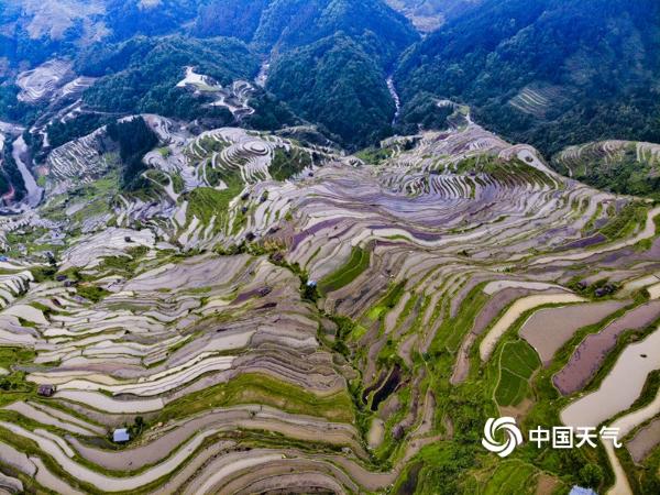 雨后云雾绕青山 赏贵州从江奇美梯田