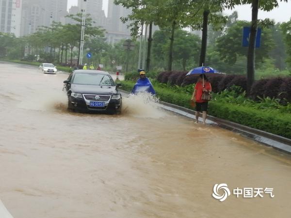 广东阳江雨势猛烈内涝严重 路上驾车如行船