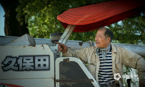 天暖麦黄阵阵飘香 湖北黄冈开启夏粮收割大幕