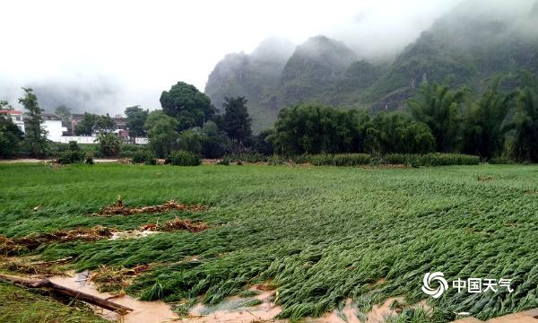 广西多地遭遇强降雨 积水没过行人大腿道路损毁严重