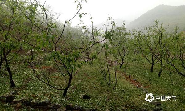 天气与历史的碰撞！鸡蛋大冰雹突袭河北金山岭长城