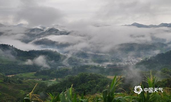 仙境！安徽歙县坡山村雨后美景如诗如画-图片频道-中国天气网