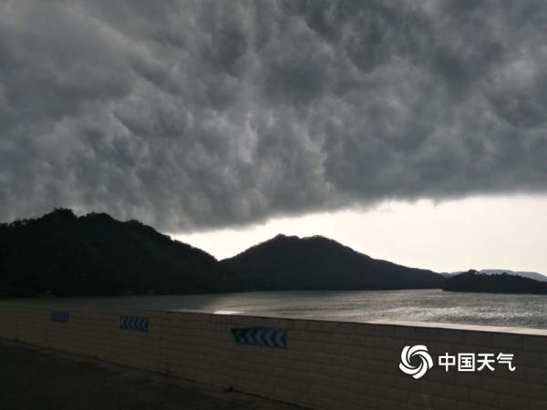 暴雨前夕 广东高州“黑云压顶”犹如科幻大片