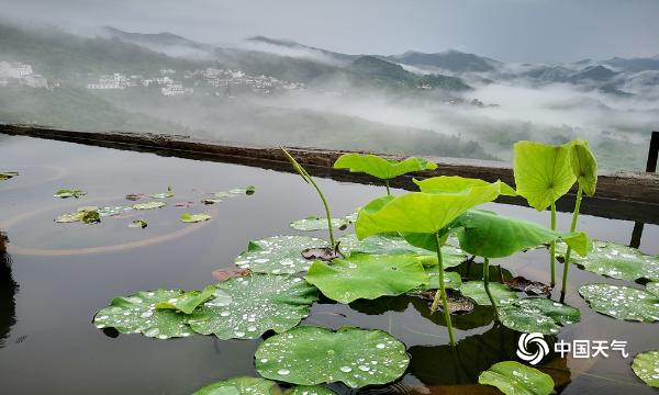 仙境！安徽歙县坡山村雨后美景如诗如画-图片频道-中国天气网