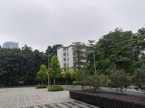 又来？龙舟水难消停 今日起广东又有强降雨