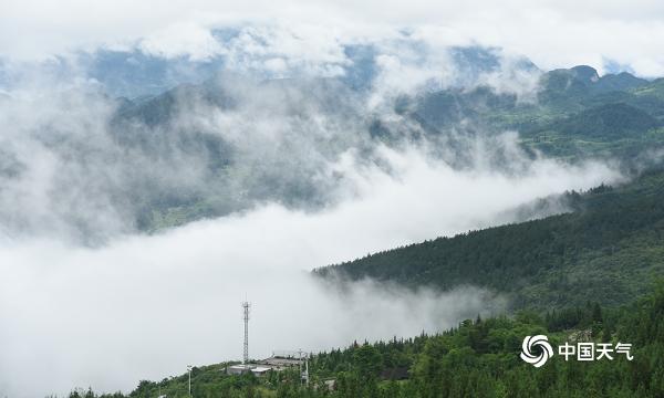 云霞雾霭遮山林 重庆丰都雨后现奇观