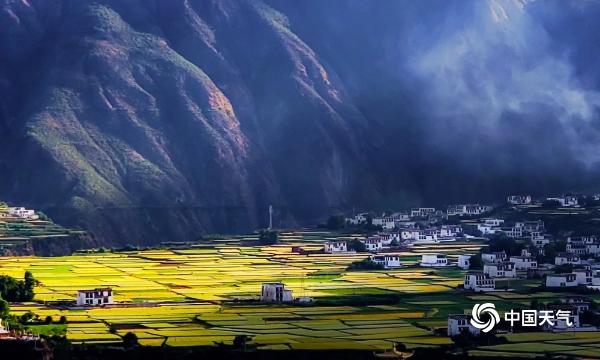 四川甘孜香巴拉 蓝天白云青稞黄