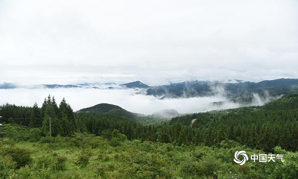 云霞雾霭遮山林 重庆丰都雨后现奇观