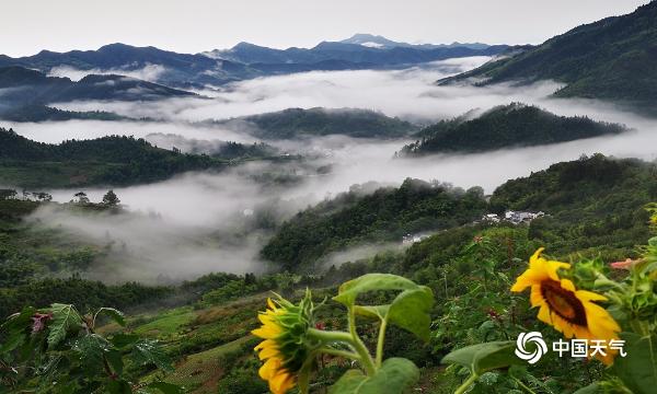 仙境！安徽歙县坡山村雨后美景如诗如画-图片频道-中国天气网