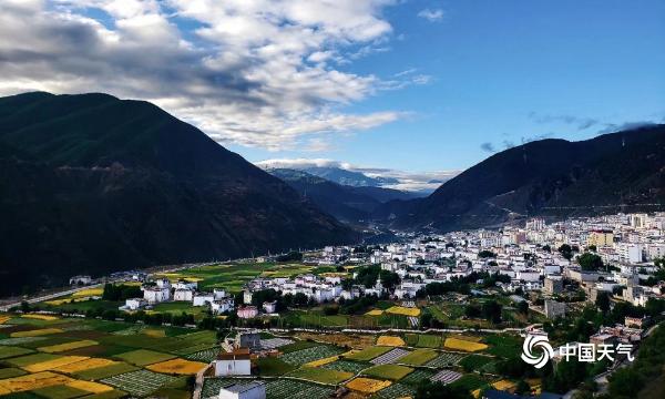 四川甘孜香巴拉 蓝天白云青稞黄