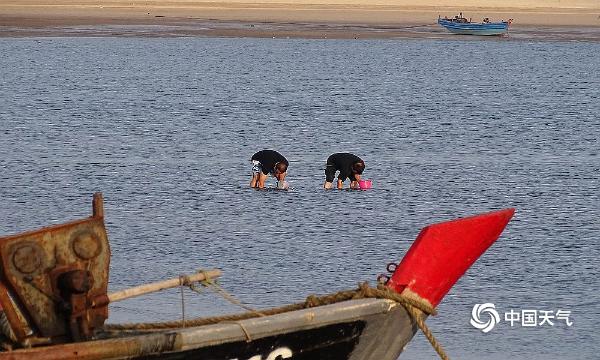 鲅鱼圈人口有多少人口_鲅鱼圈人赶海挖蛏子攻略(2)