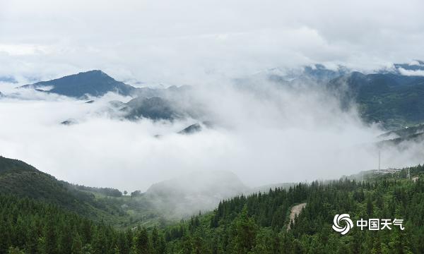 云霞雾霭遮山林 重庆丰都雨后现奇观