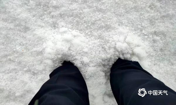 内蒙古辉腾锡勒草原遭遇冰雹袭击 最厚处没过脚