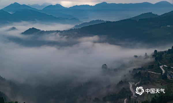 “佛光”普照重庆南川 晕染云雾宛如水墨画卷