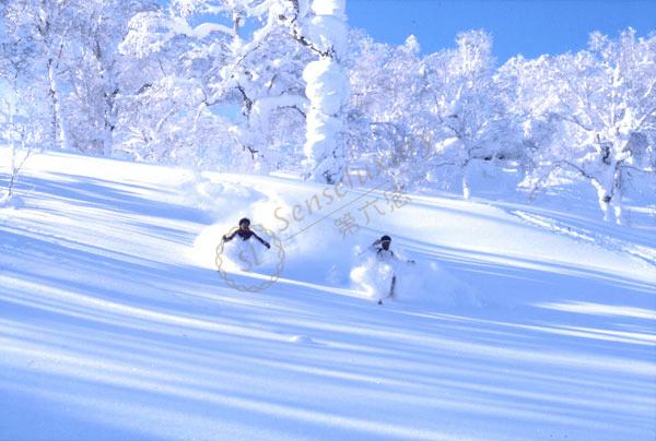 体验滑雪的乐趣，去北海道的这些地方就够了