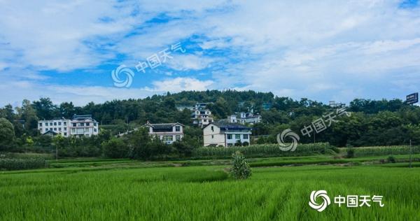 四川盆地今夜起雨势加强 成都绵阳等地连遭强降雨侵袭
