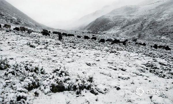 青海玉树7月遇“冰雪奇缘” 草原披银装