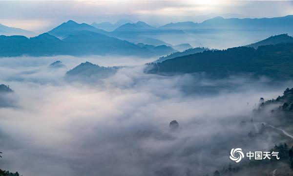 “佛光”普照重庆南川 晕染云雾宛如水墨画卷