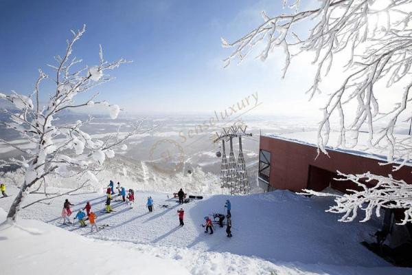 体验滑雪的乐趣，去北海道的这些地方就够了